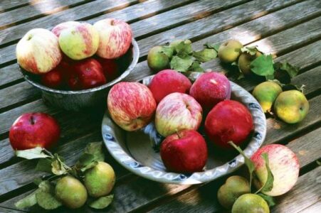 Garden Recipe: Apple Salad with Pecorino Romano Image